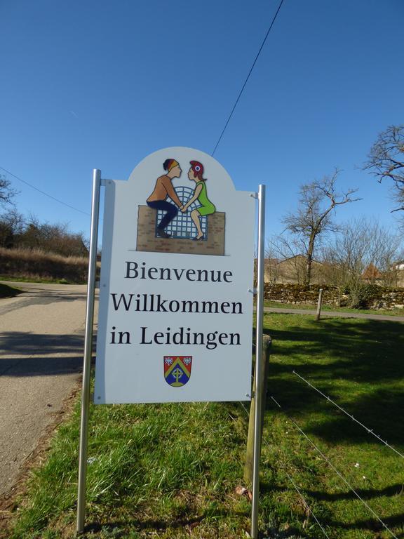 Gite "Vue Sur La Frontiere" Heining-les-Bouzonville Eksteriør billede